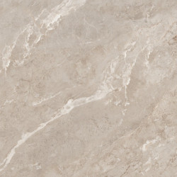 Керамогранит Neodom N20767 Marble Rome Taupe Polished 60x120