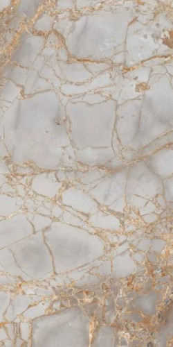 Керамогранит Primavera Golden Grey PR212 60x120