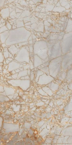 Керамогранит Primavera Golden Grey PR212 60x120