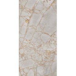 Керамогранит Primavera Golden Grey PR212 60x120