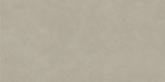 Керамогранит Atlas Concorde Italy AQ9T Boost Natural Pro Dove 60x120 Grip
