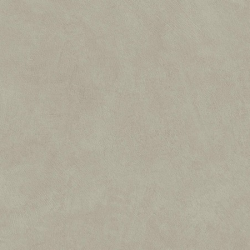 Керамогранит Atlas Concorde Italy AQ9T Boost Natural Pro Dove 60x120 Grip