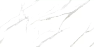 Керамогранит Ceradim х9999304535 Calacatta Pleasant Белый Полированный 60х120
