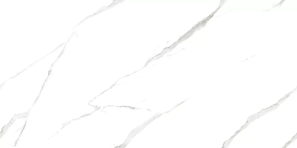 Керамогранит Ceradim х9999304535 Calacatta Pleasant Белый Полированный 60х120