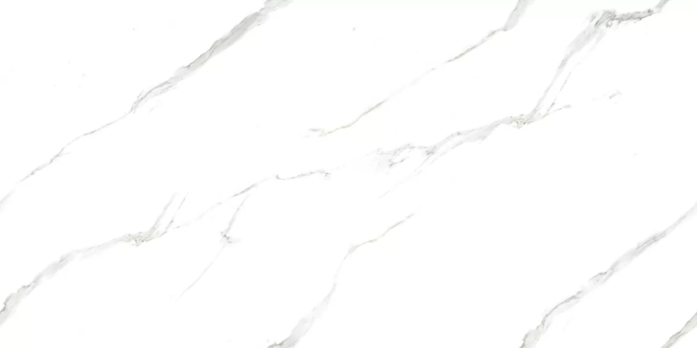 Керамогранит Ceradim х9999304535 Calacatta Pleasant Белый Полированный 60х120