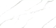 Керамогранит Ceradim х9999304535 Calacatta Pleasant Белый Полированный 60х120