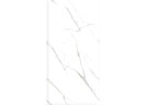 Керамогранит Ceradim х9999304535 Calacatta Pleasant Белый Полированный 60х120