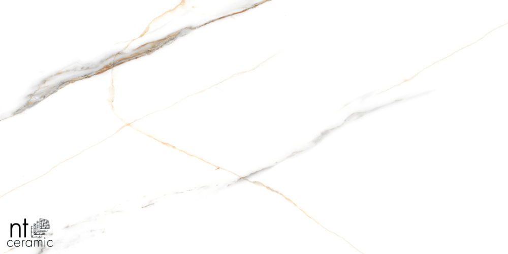 Керамогранит NT Ceramic NTT99513M Maritaca Statuario Ultra White 60x120