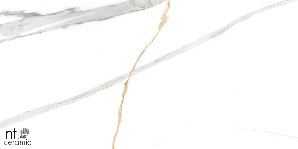 Керамогранит NT Ceramic NTT99513M Maritaca Statuario Ultra White 60x120
