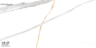 Керамогранит NT Ceramic NTT99513M Maritaca Statuario Ultra White 60x120