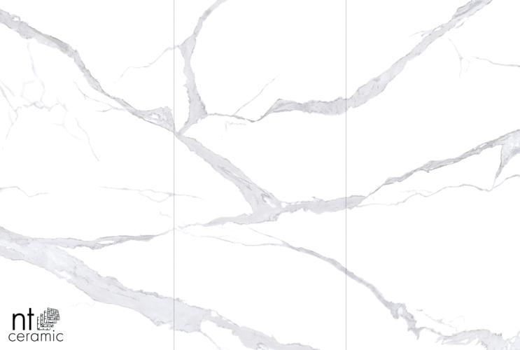 Керамогранит NT Ceramic NTT3008P Bianco Statuario 120x240