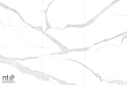 Керамогранит NT Ceramic NTT3008P Bianco Statuario 120x240