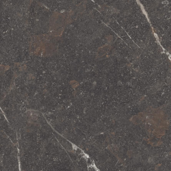 Керамогранит Museum 42818 Royal Brown Sp R 100x100