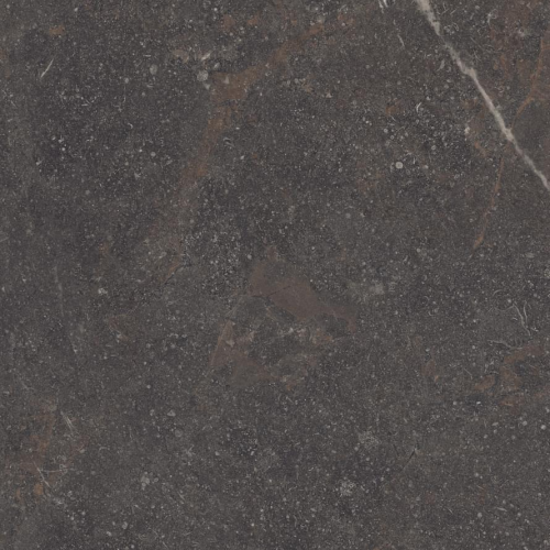 Керамогранит Museum 42818 Royal Brown Sp R 100x100
