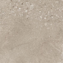 Керамогранит Ceradim Harley бежевый матовый 50х50