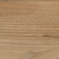 Керамогранит Eurotile 7930138703746 Apricot Honey 20x120