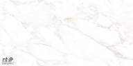 Керамогранит NT Ceramic NTT99526M Marble Extra Endless 60x120
