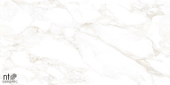 Керамогранит NT Ceramic NTT99526M Marble Extra Endless 60x120