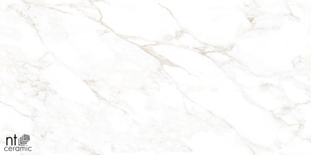 Керамогранит NT Ceramic NTT99526M Marble Extra Endless 60x120