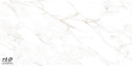 Керамогранит NT Ceramic NTT99526M Marble Extra Endless 60x120