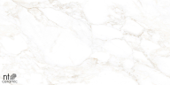 Керамогранит NT Ceramic NTT99526M Marble Extra Endless 60x120