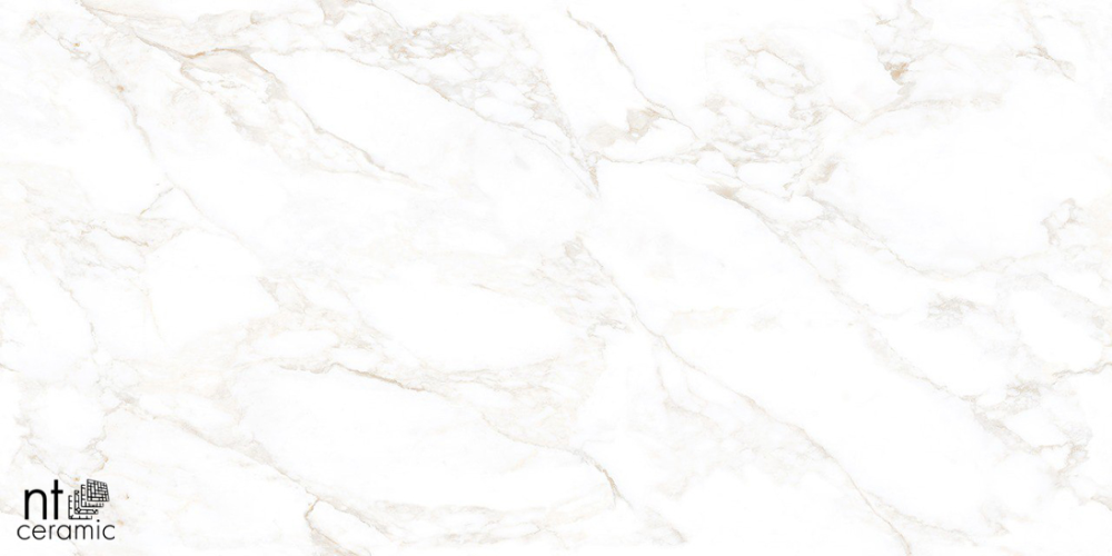 Керамогранит NT Ceramic NTT99526M Marble Extra Endless 60x120