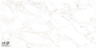 Керамогранит NT Ceramic NTT99526M Marble Extra Endless 60x120