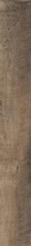 Керамогранит Rondine J87749 Aspen Brown 15x100