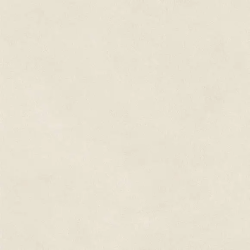 Керамогранит Atlas Concorde Italy AQ9U Boost Natural Pro Salt 60x60 