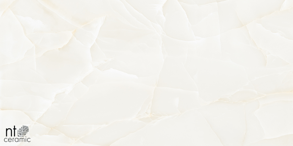 Керамогранит NT Ceramic NTT99504P Onyx Predo 60x120