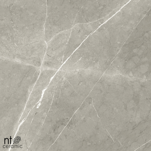 Керамогранит NT Ceramic BB6NTT9102P 60x60