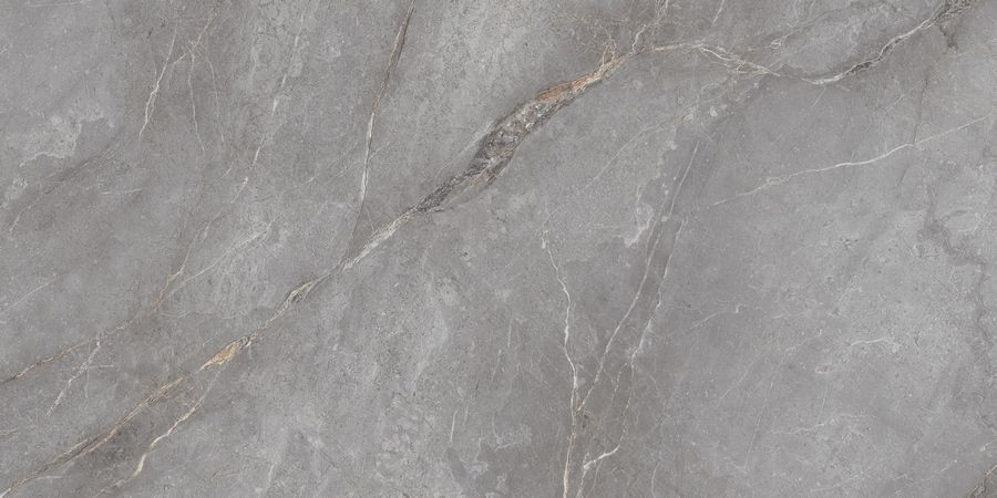 Керамогранит Neodom N20484 Marble Orobico Grey Polished 60x120