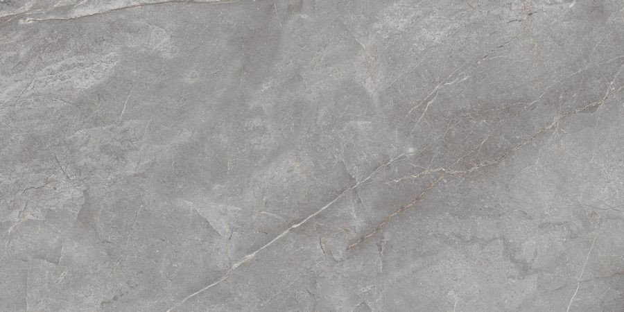 Керамогранит Neodom N20484 Marble Orobico Grey Polished 60x120