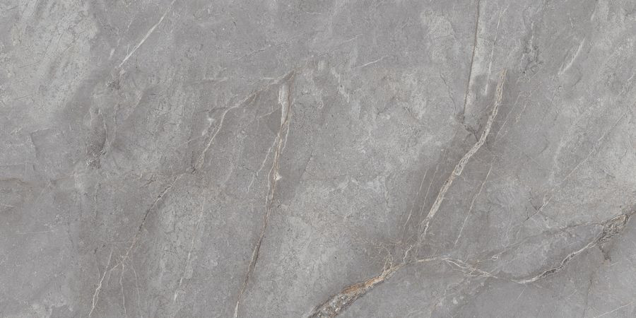 Керамогранит Neodom N20484 Marble Orobico Grey Polished 60x120