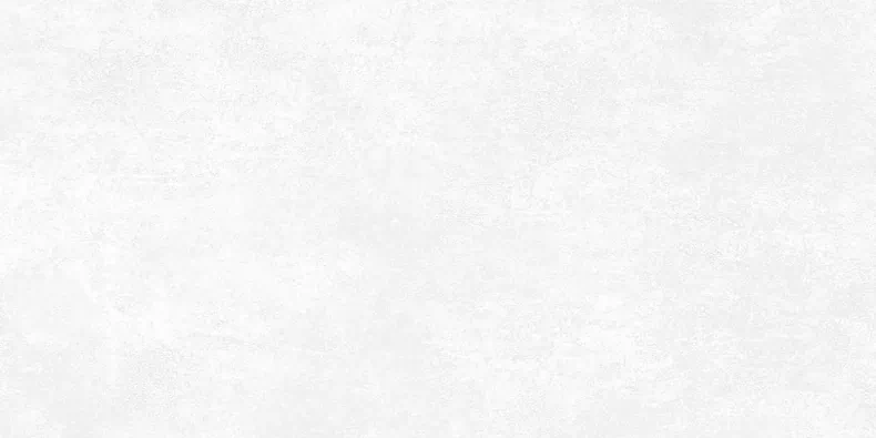 Керамогранит Alma Ceramica GFU60120BTP00R Beton Pro матовый 60x120 