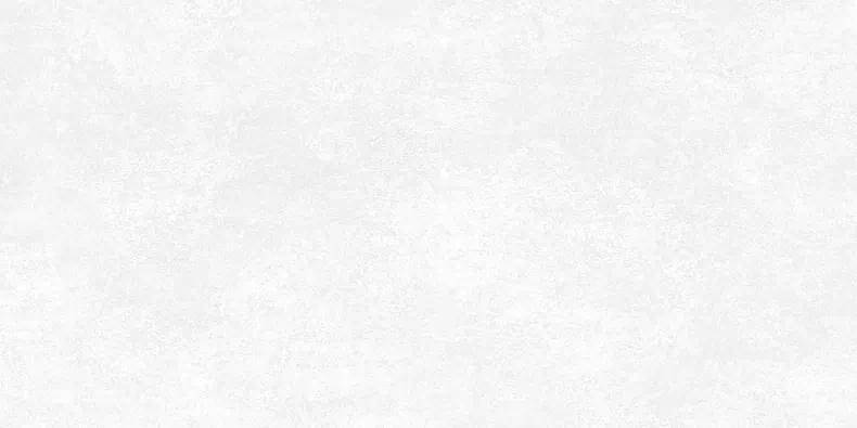 Керамогранит Alma Ceramica GFU60120BTP00R Beton Pro матовый 60x120 