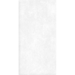 Керамогранит Alma Ceramica GFU60120BTP00R Beton Pro матовый 60x120 