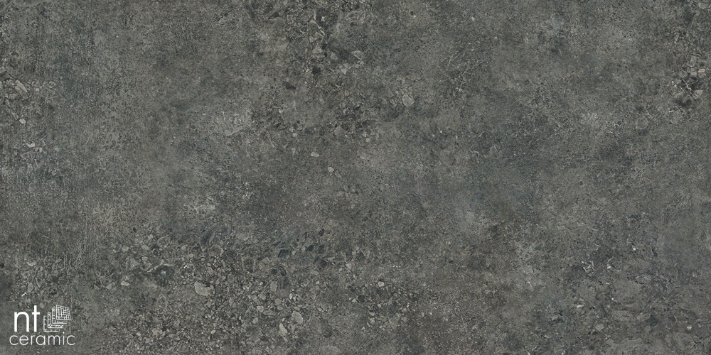 Керамогранит NT Ceramic TZ612NTT9502L Terrazzo 60x120