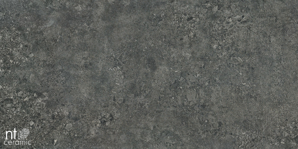 Керамогранит NT Ceramic TZ612NTT9502L Terrazzo 60x120