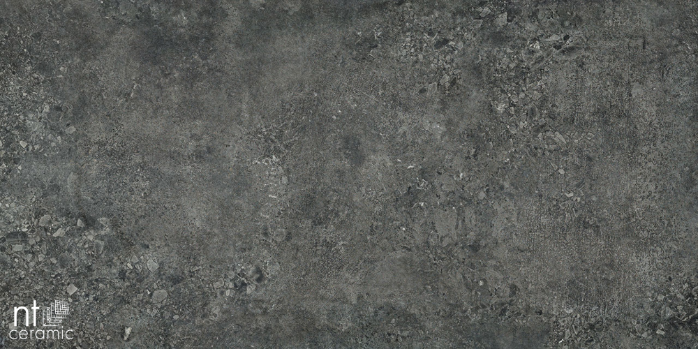 Керамогранит NT Ceramic TZ612NTT9502L Terrazzo 60x120