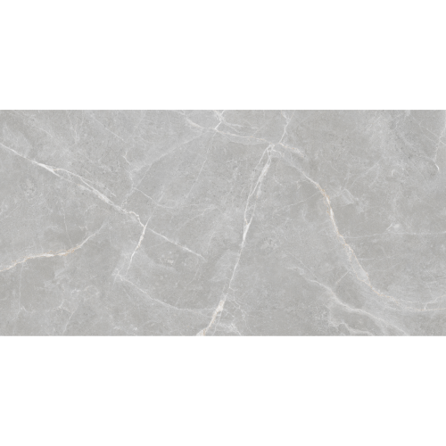 Керамогранит Staro Rizzi Patricia Grey Matt 60x120
