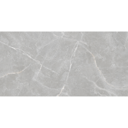 Керамогранит Staro Rizzi Patricia Grey Matt 60x120