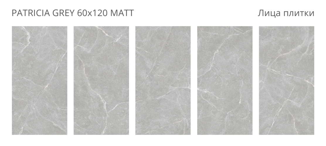 Керамогранит Staro Rizzi Patricia Grey Matt 60x120