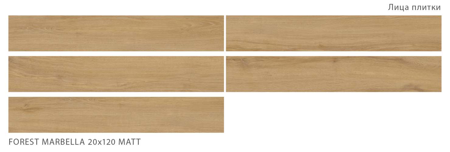 Керамогранит StaroWood Forest Marbella Matt 20x120