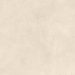 Керамогранит Atlas Concorde Italy AYU2 Boost Expression Shell 60x120 Grip