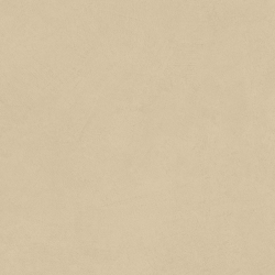 Керамогранит Atlas Concorde Italy AQ9W Boost Natural Pro Sand 60x60