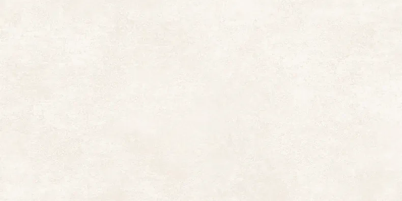 Керамогранит Alma Ceramica GFU60120BTP04R Beton Pro матовый 60x120  