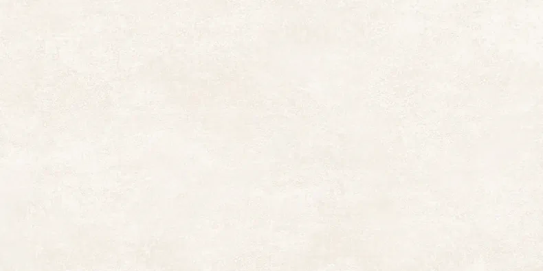 Керамогранит Alma Ceramica GFU60120BTP04R Beton Pro матовый 60x120  