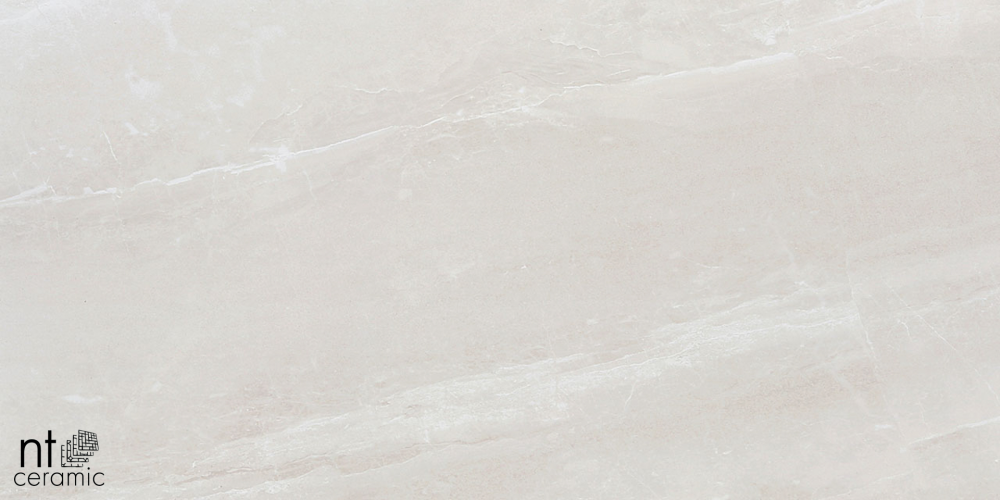 Керамогранит NT Ceramic ZS612NTT9702P Zeus 60x120