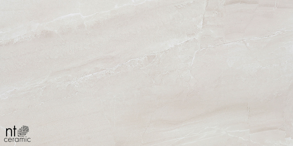 Керамогранит NT Ceramic ZS612NTT9702P Zeus 60x120